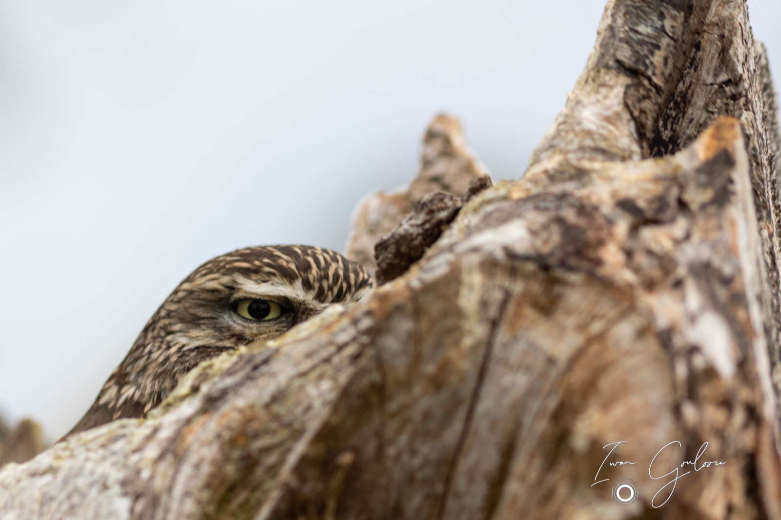 25 juni 2022 132808 1R2A0053